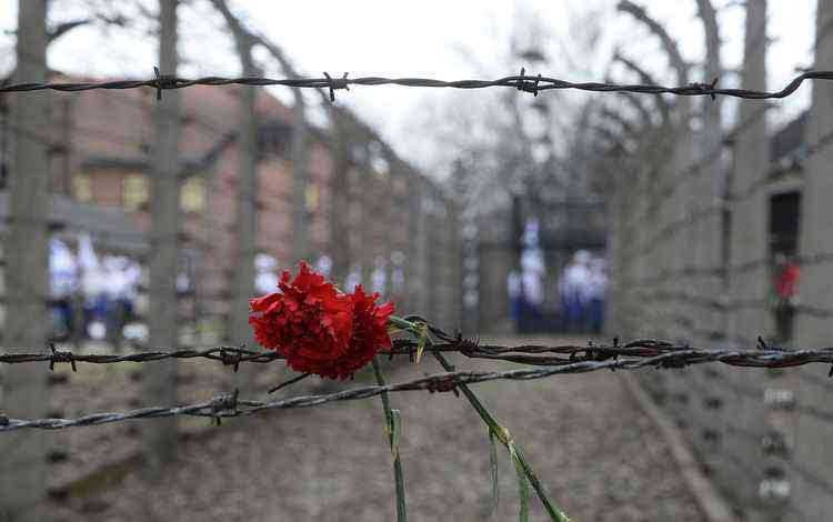 27 de enero - Conmemoración de las víctimas del Holocausto